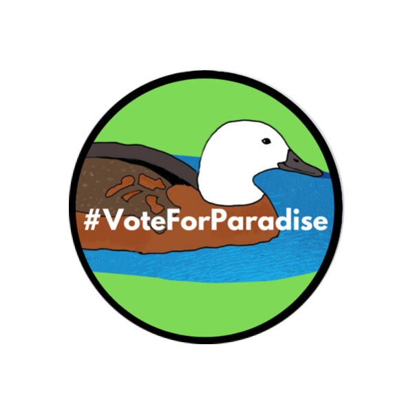 Paradise Shelduck Coaster Thumbnail